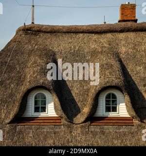 Toit de chaume, toit de chaume, toit de chaume en Allemagne du Nord, gros plan Banque D'Images