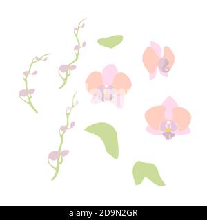 Ensemble de fleurs et de feuilles de style Clipart élégant et minimaliste, dessiné à la main. Isolé sur fond blanc. Vecteur de brut Illustration de Vecteur