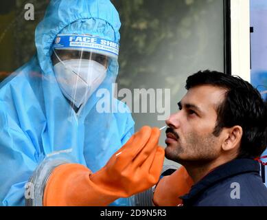 New Delhi, Inde. 6 novembre 2020. Un agent de santé recueille un écouvillon d'un homme lors d'un test COVID-19 à New Delhi, en Inde, le 6 novembre 2020. Selon les dernières données publiées par le ministère fédéral de la Santé, le nombre de cas enregistrés par le COVID-19 en Inde a atteint 8,411,724 vendredi, alors que 47,638 nouveaux cas ont été enregistrés dans tout le pays au cours des 24 dernières heures. Credit: Partha Sarkar/Xinhua/Alamy Live News Banque D'Images