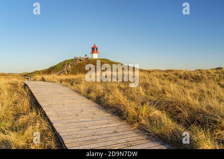 Feu de marques croisées dans les dunes de l'île d'Amrum, Norddorf, les îles de la Frise du Nord, Schleswig-Holstein, le nord de l'Allemagne, l'Allemagne, l'Europe Banque D'Images