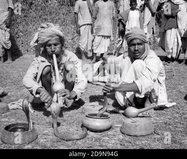 Années 1950 TROIS COBRAS indiens Naja NAJA DANS LA MAIN PANIER BOL AVEC DEUX HOMMES CHARMERS DE SERPENT UN JOUANT UN PUNGI REGARDANT A CAMERA INDIA - R15470 RGE001 HARS PLEINE LONGUEUR DEMI-PERSONNES BOLS LES HOMMES RISQUENT DE SE DIVERTIR CONFIANCE B&W CONTACT VISUEL ANGLE ÉLEVÉ AVENTUREZ LEUR ET EXCITATION DE LOISIRS SERPENT A DANS LES OCCUPATIONS LIBRES COBRA CONCEPTUELS PANIERS FOLKLORIQUES CHARMERS COBRAS HYPNOTIZE MI-ADULTE HOMME ADULTE A JOUÉ PUNGI PLUSIEURS SERPENTS DE REPTILES ANCIENS NOIR ET BLANC SOUS-CONTINENT Banque D'Images