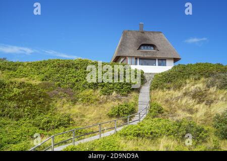 Maison de toit de chaume à Hörnum, Ile de Sylt, Frise du Nord, Schleswig-Holstein, Allemagne du Nord, Allemagne, Europe Banque D'Images