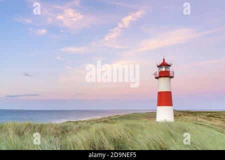 Liste Ost phare à Ellenbogen, Ile de Sylt, Frise du Nord, Schleswig-Holstein, Allemagne du Nord, Allemagne, Europe Banque D'Images