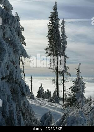 Journée d'hiver dans le domaine skiable de Hochficht dans la Bohème Forêt Banque D'Images