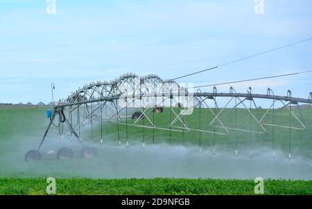 Système d'irrigation agricole Banque D'Images