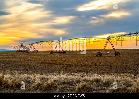 Système d'irrigation agricole Banque D'Images