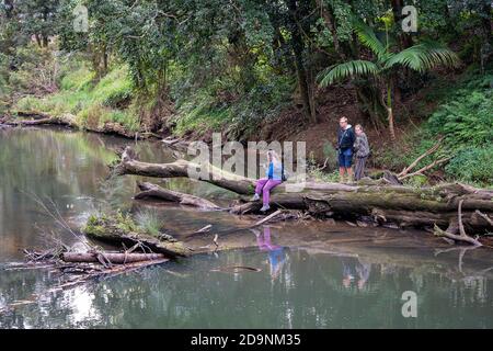MacKay, Australie - 25 août 2019 : une photographe féminine assise sur une bûche à Broken River, dans le parc national d'Eungella, attendant l'apparition de platypus, Banque D'Images