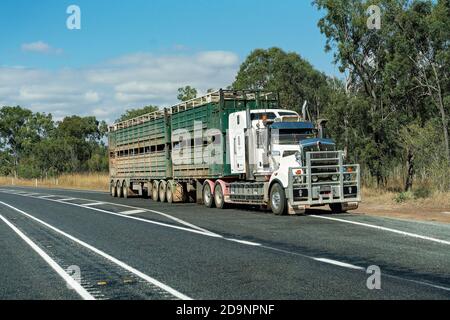 Rockhampton, Queensland, Australie - 16 septembre 2019 : transport semi-remorque sur l'autoroute transportant le bétail jusqu'aux aires de vente Banque D'Images