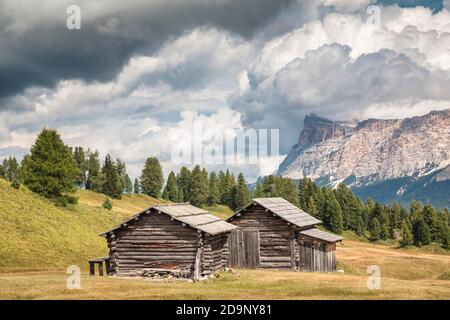 Huttes alpines traditionnelles sur les pâturages de pralonga, en arrière-plan le Sass dla Crusc (Heiligkreuzkofel), val badia, alto adige / südtirol, dolomites, italie, europe Banque D'Images