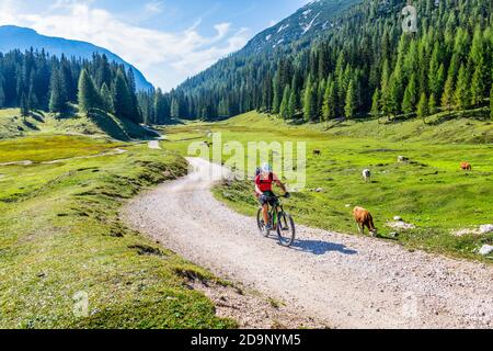 Homme avec e-bike sur le sentier de cinq huttes tour, localité Campo Croce dans la vallée de Salata, Parc naturel des Dolomites d'Ampezzo, Cortina d'Ampezzo, Belluno, Vénétie, Italie, Europe Banque D'Images