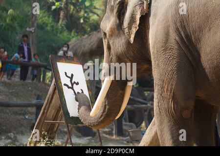 CHIANG MAI, THAÏLANDE - Mars 13: 15e Journée nationale annuelle de l'éléphant thaïlandais , peinture d'exposition d'éléphant sur papier au camp d'éléphant de maesa , 13 mars 2014 à Chi Banque D'Images