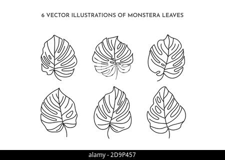 Ensemble de feuilles de Monstera de plantes tropicales. Outline Palm Leaf dans un style de doublure tendance minimaliste. Illustration vectorielle. Pour imprimer sur un t-shirt, Web Desig Illustration de Vecteur