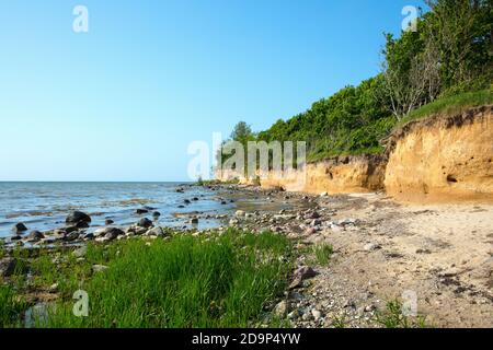 Allemagne, Mecklembourg-Poméranie occidentale, île de la Mer Baltique Poel, plage naturelle entre Hinter Wangen et Timmendorf plage. Banque D'Images