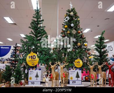 Townsville, Queensland, Australie - octobre 2020 : arbres de Noël décorés de boules et de rennes à vendre en vue des fêtes de Noël Banque D'Images