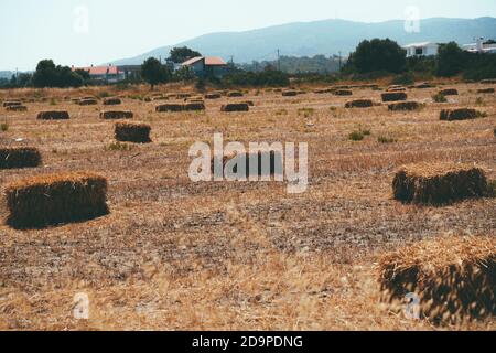 Haystacks sur le terrain près du village Banque D'Images