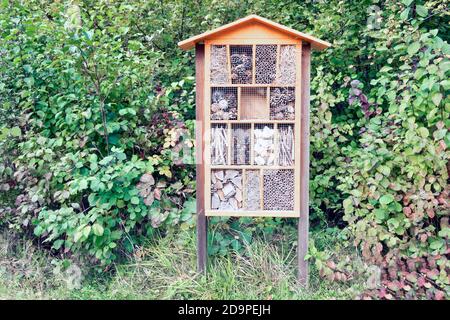 Hôtel d'insectes en bois dans la forêt hollandaise près de Schokland Banque D'Images