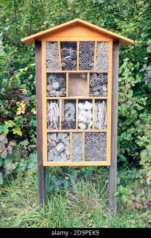 Hôtel d'insectes en bois dans la forêt hollandaise près de Schokland Banque D'Images