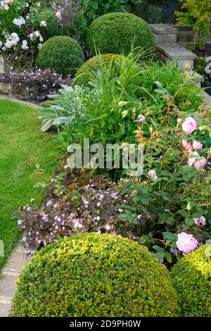 Jardin privé paysagé ensoleillé (design contemporain, fleurs d'été, plantes frontalières, arbustes, balles, mur bas, clôture, pelouse) - Yorkshire, Angleterre Royaume-Uni Banque D'Images