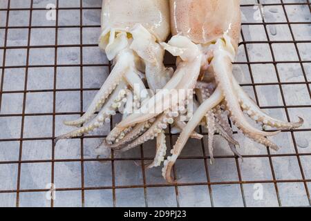 calmar blanc frais sur un tamis plat en fer sur le marché thaïlandais. Banque D'Images