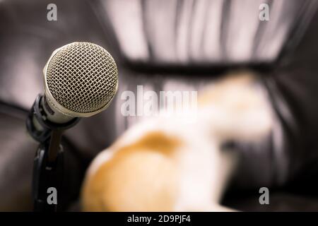 microphone sur l'arrière-plan de chat flou sur canapé noir. mise au point douce .faible profondeur de champ. Style vintage et processus filtré. Banque D'Images