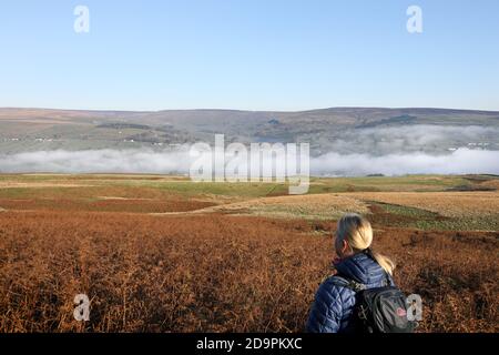 Middleton-in-Teesdale, comté de Durham, Royaume-Uni. 7 novembre 2020. Météo Royaume-Uni. Un brouillard épais créé par une inversion de température remplit la vallée des Tees de nuages près de Middleton-in-Teesdale ce matin. Crédit : David Forster/Alamy Live News Banque D'Images