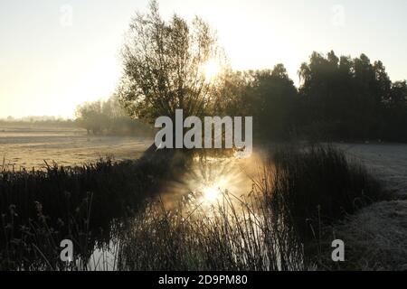 Lever du soleil sur une matinée brumeuse et givrée dans le pays de Shakespeare. The River Alne, près de Stratford-upon-Avon, Warwickshire, Royaume-Uni. Banque D'Images