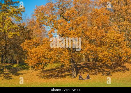 Jeune couple assis sous un grand arbre avec de belles feuilles de couleur automnale, orange et or. Hyde Park Londres Banque D'Images