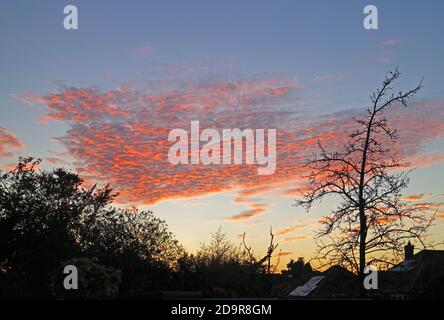 Vue sur un groupe de nuages d'altocumulus au coucher du soleil avec le soleil réfléchissant rouge sur le dessous de Hellesdon, Norfolk, Angleterre, Royaume-Uni. Banque D'Images