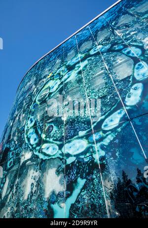 Mur de bâtiment d'hôpital recouvert de panneaux de verre vert peint détachables , Finlande Banque D'Images