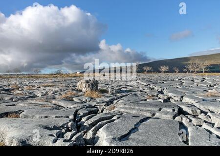 Karst Landscape, Souther Scales, Ingleborough, Yorkshire Dales, Royaume-Uni Banque D'Images