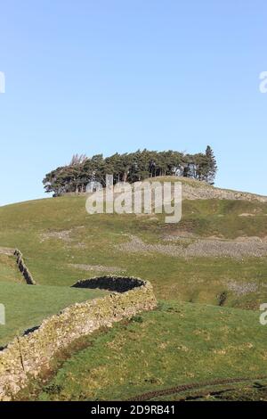 L'ancien Tumulus Hilltop de Kirkcarrion, Lunedale, Teesdale, comté de Durham, Royaume-Uni Banque D'Images