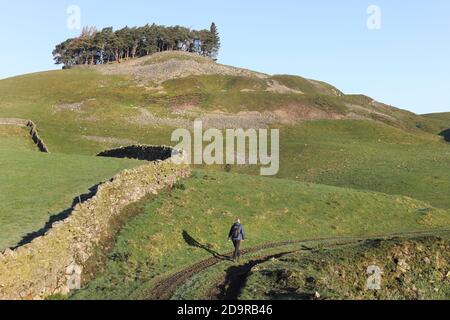 Walker en direction de l'ancien Tumulus Hilltop de Kirkcarrion, Lunedale, Teesdale, comté de Durham, Royaume-Uni Banque D'Images