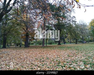 Automne dans le quarante Hall, Enfield, Londres. Banque D'Images