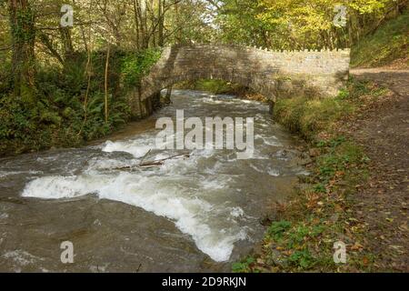 Angleterre, Devon, vallée de Heddon, rivière et pont Banque D'Images