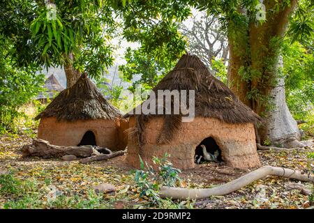 Maisons de poule dans le village de la tribu de Somba Banque D'Images