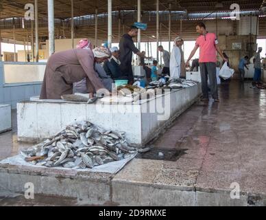 Homme shopping pour le poisson humide au marché aux poissons de Barka près de Muscat, Oman Banque D'Images