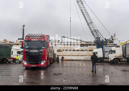 Cork, Irlande. 7 novembre 2020. L'exportation de bétail vers la Libye s'est poursuivie aujourd'hui avec 2,000 jeunes taureaux chargés sur le porte-bétail 'Sarah M'. Curzon Livestock exporte régulièrement du bétail vers la Libye, le voyage prenant environ 10 jours. Le 'Sarah M' sort à 23.30 heures ce soir. Le ministère de l'Agriculture et un vétérinaire irlandais et libyen étaient présents au chargement d'aujourd'hui. Crédit : AG News/Alay Live News Banque D'Images