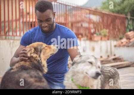 Le garçon noir joue avec les chiens avec bonheur Banque D'Images
