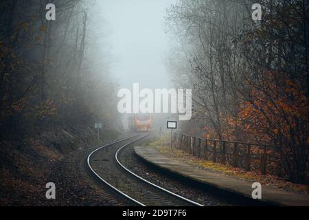 Chemin de fer pendant l'automne. Train de voyageurs quittant la gare dans la forêt brumeuse. Banque D'Images