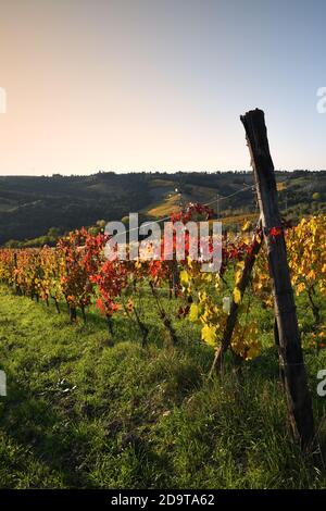 Magnifiques vignobles colorés au coucher du soleil pendant la saison d'automne dans la région de Chianti Classico près de Greve in Chianti (Florence), en Toscane. Italie. Banque D'Images