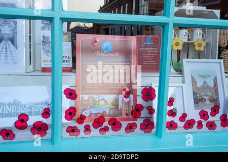 Eton, Windsor, Berkshire, Royaume-Uni. 7 novembre 2020. Une fenêtre de coquelicot à l'Office du tourisme d'Eton. De grands coquelicots ont été placés autour d'Eton avant le jour du souvenir à la mémoire des hommes et des femmes courageux qui sont morts à la fois pendant la première et la deuxième Guerre mondiale En raison de la pandémie Covid-19, il y aura encore des services pour se souvenir de nos morts de guerre, mais ils ne seront pas vus par le public cette année. Crédit : Maureen McLean/Alay Live News Banque D'Images