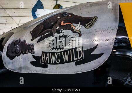 C'EST HAWG WILD, Boeing B-29 Superforteresses, Nose art Banque D'Images