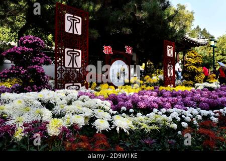 Jinan, province chinoise de Shandong. 7 novembre 2020. Les touristes voient en fleurs le chrysanthème dans le parc de source Baotu à Jinan, capitale de la province de Shandong en Chine orientale, le 7 novembre 2020. Credit: Guo Xulei/Xinhua/Alamy Live News Banque D'Images