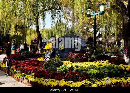 Jinan, province chinoise de Shandong. 7 novembre 2020. Les touristes voient en fleurs le chrysanthème dans le parc de source Baotu à Jinan, capitale de la province de Shandong en Chine orientale, le 7 novembre 2020. Credit: Guo Xulei/Xinhua/Alamy Live News Banque D'Images