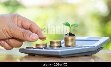 Un arbre qui pousse sur un tas de pièces de monnaie et une main d'homme qui place des pièces de monnaie sur un tas de pièces de monnaie idée de croissance économique. Banque D'Images