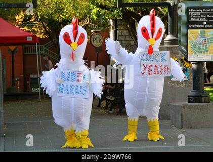 les partisans de biden harris célèbrent la victoire des élus du presidente dans le centre-ville petaluma californie etats-unis Banque D'Images