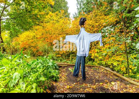 Épouvantail dans le jardin Banque D'Images