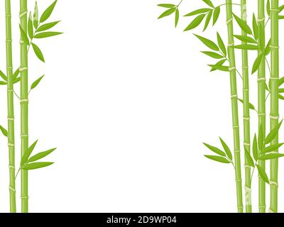 Arrière-plan Bamboo. Tiges de bambou vertes fraîches asiatiques, toile de fond naturelle de plantes de bambou, plantes de bâton avec illustration de vecteur de feuillage Illustration de Vecteur