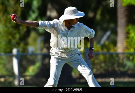Novembre 8 2020. Benalla Bushrangers de plus de soixante ans contre Wodonga. Banque D'Images