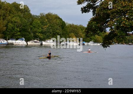 Bateaux sur la Tamise à Richmond upon Thames, Grand Londres, Royaume-Uni Banque D'Images